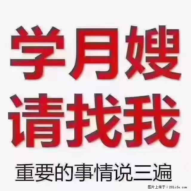 为什么要学习月嫂，育婴师？ - 其他广告 - 广告专区 - 绍兴分类信息 - 绍兴28生活网 sx.28life.com