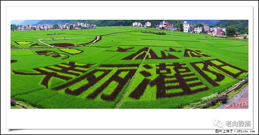 【春天,广西桂林灌阳县向您发出邀请!】开篇 - 游山玩水 - 绍兴生活社区 - 绍兴28生活网 sx.28life.com