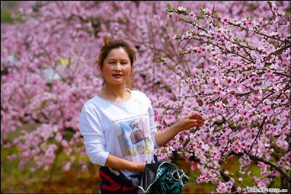 【春天,广西桂林灌阳县向您发出邀请!】官庄村有个醉美的桃花园 - 游山玩水 - 绍兴生活社区 - 绍兴28生活网 sx.28life.com