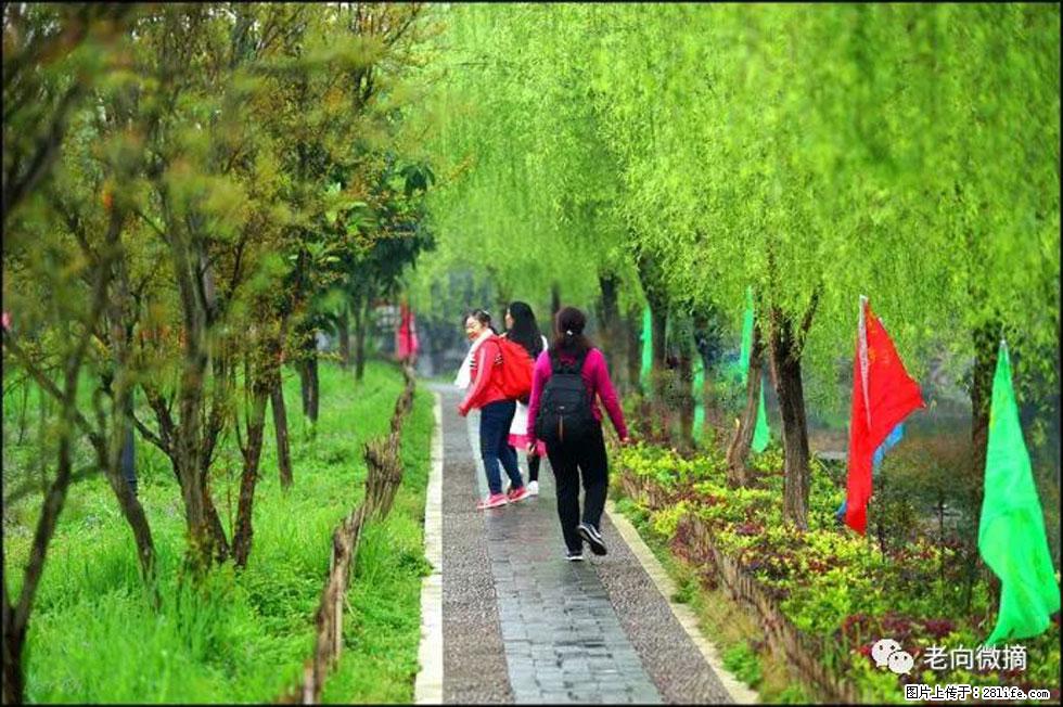 【春天，广西桂林灌阳县向您发出邀请！】江口老街又逢春 - 游山玩水 - 绍兴生活社区 - 绍兴28生活网 sx.28life.com