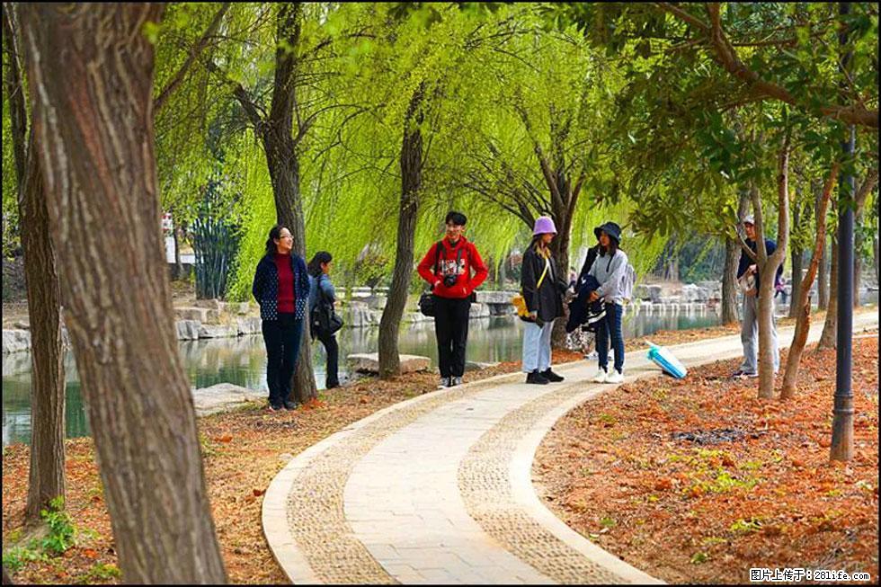 【春天，广西桂林灌阳县向您发出邀请！】江口老街又逢春 - 游山玩水 - 绍兴生活社区 - 绍兴28生活网 sx.28life.com