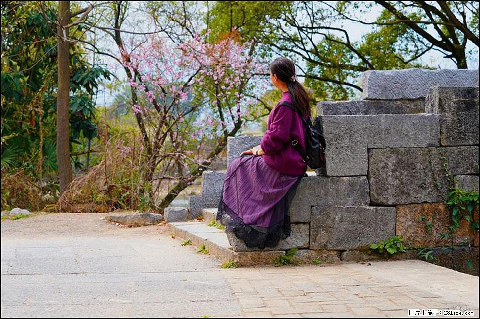 【春天，广西桂林灌阳县向您发出邀请！】江口老街又逢春 - 游山玩水 - 绍兴生活社区 - 绍兴28生活网 sx.28life.com