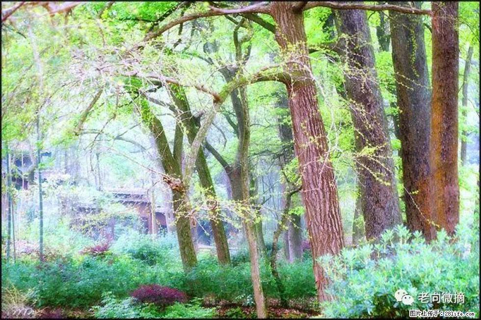 【春天,广西桂林灌阳县向您发出邀请!】在小龙村与春天约会 - 游山玩水 - 绍兴生活社区 - 绍兴28生活网 sx.28life.com