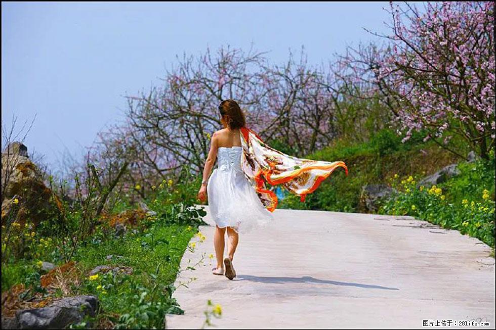 【春天,广西桂林灌阳县向您发出邀请!】望月岭上桃花开 - 游山玩水 - 绍兴生活社区 - 绍兴28生活网 sx.28life.com