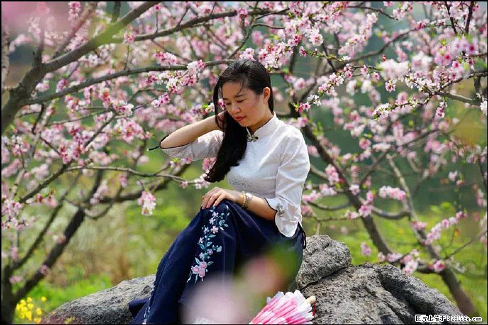 【春天,广西桂林灌阳县向您发出邀请!】望月岭上桃花开 - 游山玩水 - 绍兴生活社区 - 绍兴28生活网 sx.28life.com