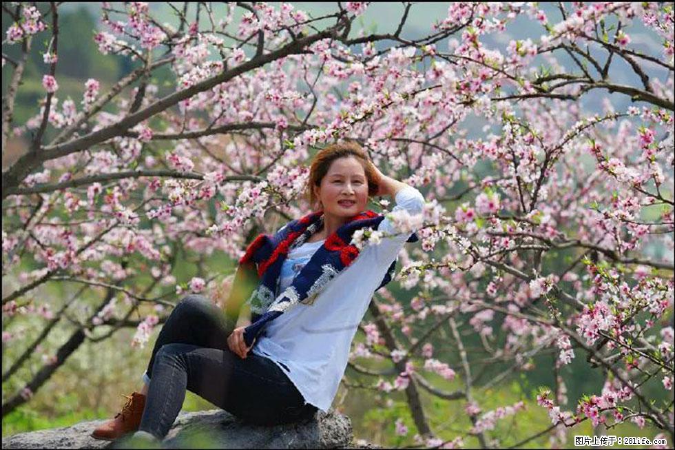 【春天,广西桂林灌阳县向您发出邀请!】望月岭上桃花开 - 游山玩水 - 绍兴生活社区 - 绍兴28生活网 sx.28life.com