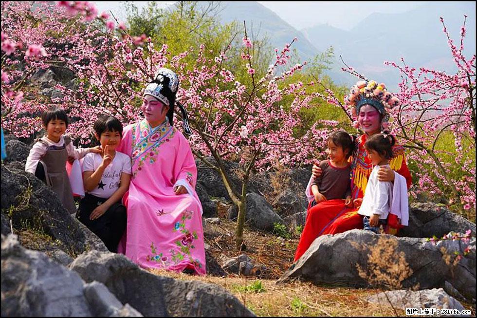 【春天,广西桂林灌阳县向您发出邀请!】望月岭上桃花开 - 游山玩水 - 绍兴生活社区 - 绍兴28生活网 sx.28life.com