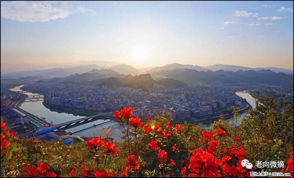【春天,广西桂林灌阳县向您发出邀请!】登麒麟山,相约映山红 - 游山玩水 - 绍兴生活社区 - 绍兴28生活网 sx.28life.com
