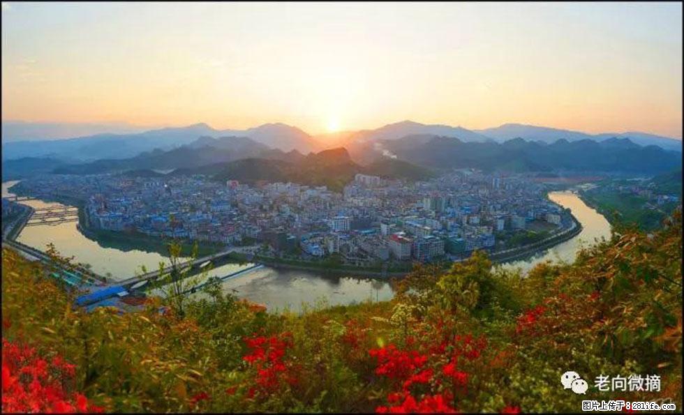 【春天,广西桂林灌阳县向您发出邀请!】登麒麟山,相约映山红 - 游山玩水 - 绍兴生活社区 - 绍兴28生活网 sx.28life.com