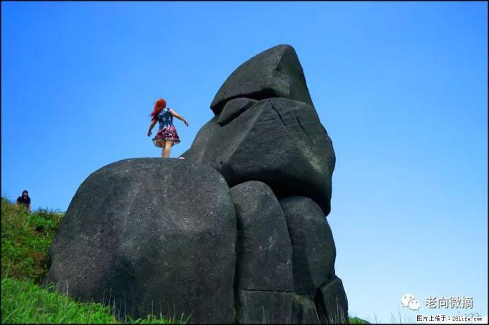 【春天,广西桂林灌阳县向您发出邀请!】宝盖山上映山红 - 游山玩水 - 绍兴生活社区 - 绍兴28生活网 sx.28life.com