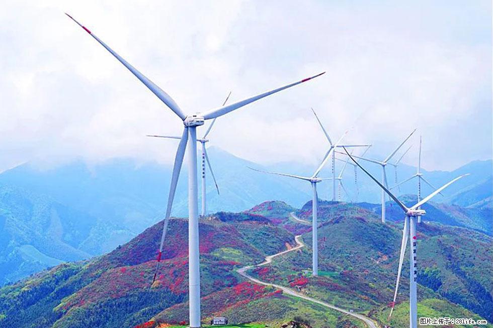 【春天,广西桂林灌阳县向您发出邀请!】春木界上映山红 - 游山玩水 - 绍兴生活社区 - 绍兴28生活网 sx.28life.com