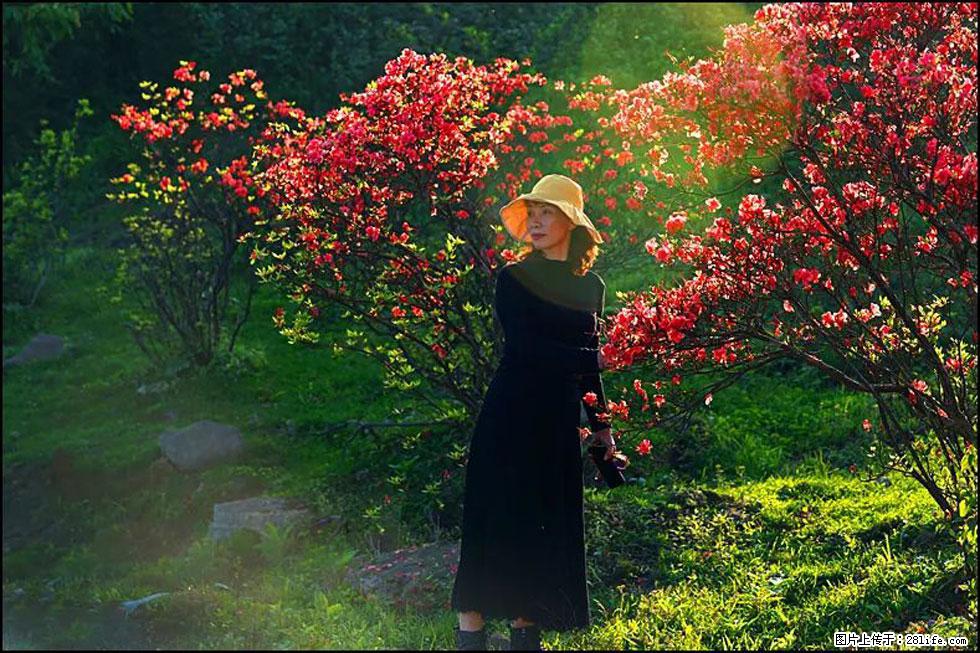 【春天,广西桂林灌阳县向您发出邀请!】春木界上映山红 - 游山玩水 - 绍兴生活社区 - 绍兴28生活网 sx.28life.com