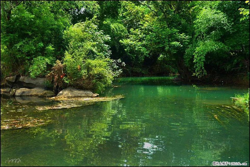 【春天，广西桂林灌阳县向您发出邀请！】如梦似幻莲溪庐 - 游山玩水 - 绍兴生活社区 - 绍兴28生活网 sx.28life.com