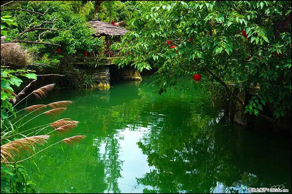【春天，广西桂林灌阳县向您发出邀请！】如梦似幻莲溪庐 - 游山玩水 - 绍兴生活社区 - 绍兴28生活网 sx.28life.com