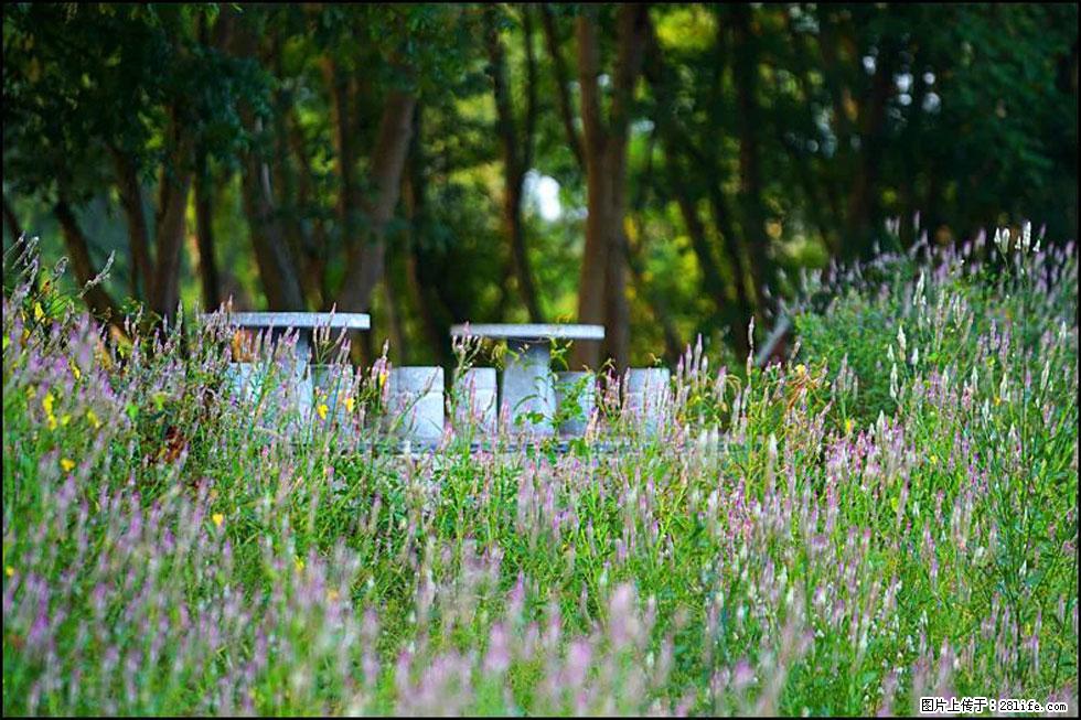 【春天,广西桂林灌阳县向您发出邀请!】熊家寨湿地公园 - 游山玩水 - 绍兴生活社区 - 绍兴28生活网 sx.28life.com