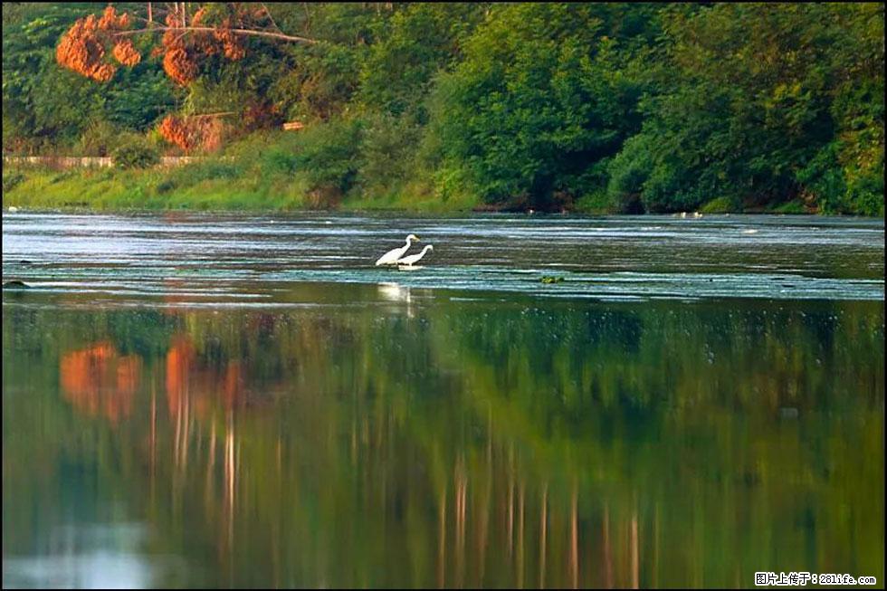 【春天,广西桂林灌阳县向您发出邀请!】熊家寨湿地公园 - 游山玩水 - 绍兴生活社区 - 绍兴28生活网 sx.28life.com