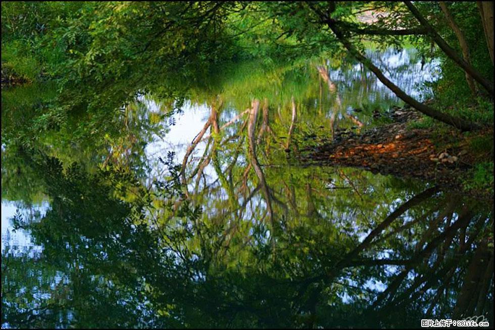 【春天,广西桂林灌阳县向您发出邀请!】熊家寨湿地公园 - 游山玩水 - 绍兴生活社区 - 绍兴28生活网 sx.28life.com