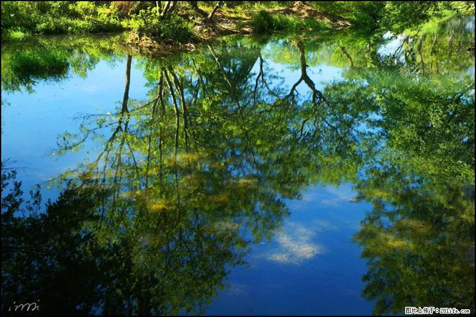 【春天,广西桂林灌阳县向您发出邀请!】熊家寨湿地公园 - 游山玩水 - 绍兴生活社区 - 绍兴28生活网 sx.28life.com