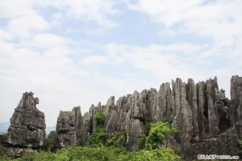 桂林旅游名城景点:灌阳文市石林 - 游山玩水 - 绍兴生活社区 - 绍兴28生活网 sx.28life.com
