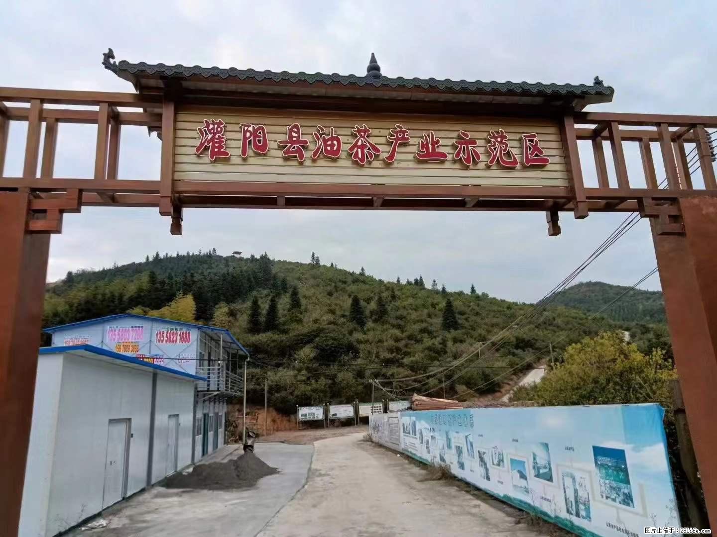 【灌阳县油茶产业示范区】一个有着充实的精神生活的人,对待身外之物自会有一种淡泊的态度 - 土特产 - 饮食特产 - 绍兴分类信息 - 绍兴28生活网 sx.28life.com