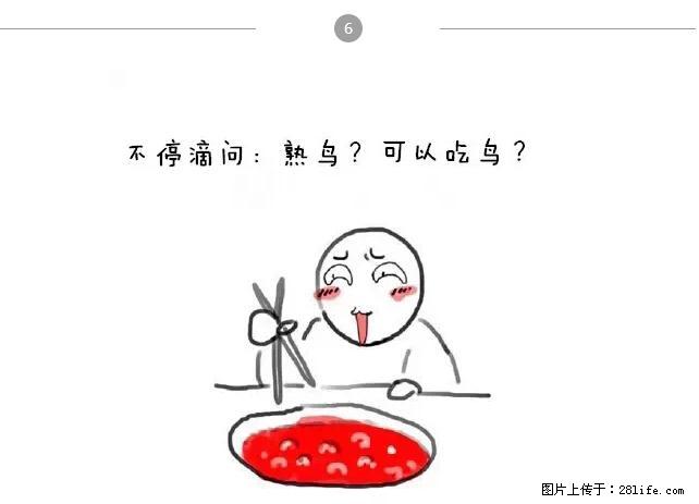 千万不要和这9种哈卵一起吃火锅! - 美食天地 - 绍兴生活社区 - 绍兴28生活网 sx.28life.com