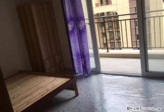 (单间出租)袍江金湖湾，南岸花园，蔚兰星城单间出租 - 绍兴28生活网 sx.28life.com