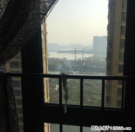 龙湖东苑 130方东边套 整套出租 楼层好 租三五年没问题 - 房屋出租 - 房屋租售 - 绍兴分类信息 - 绍兴28生活网 sx.28life.com