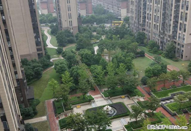 (单间出租)柯桥金地铂悦小区单间出租500至850 - 房屋出租 - 房屋租售 - 绍兴分类信息 - 绍兴28生活网 sx.28life.com