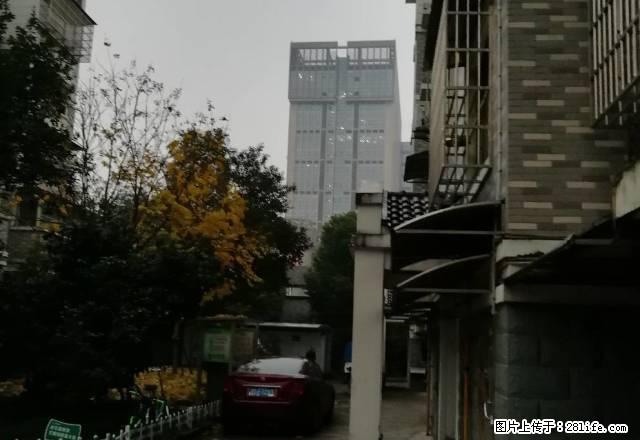 房子彩光好，三个房间都朝南，四周都是商业圈， 都比较方便。 - 房屋出租 - 房屋租售 - 绍兴分类信息 - 绍兴28生活网 sx.28life.com