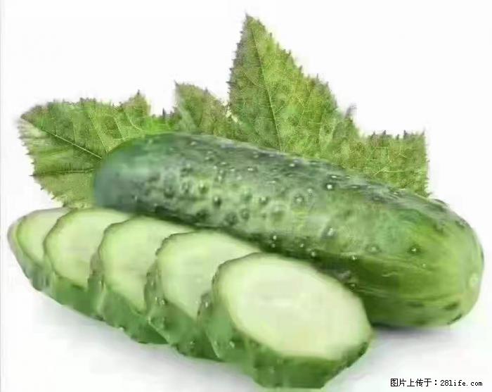 【生活小常识】吃黄瓜的好处 - 生活百科 - 绍兴生活社区 - 绍兴28生活网 sx.28life.com