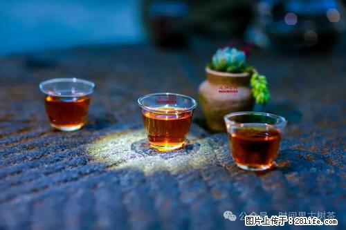 时间果百年古树2025年春红茶 - 购物交流 - 绍兴生活社区 - 绍兴28生活网 sx.28life.com