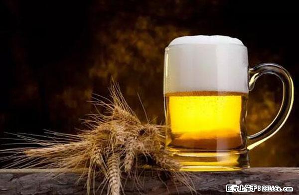 原来它这么毒,然而竟然满大街都是.... - 绍兴生活资讯 - 绍兴28生活网 sx.28life.com