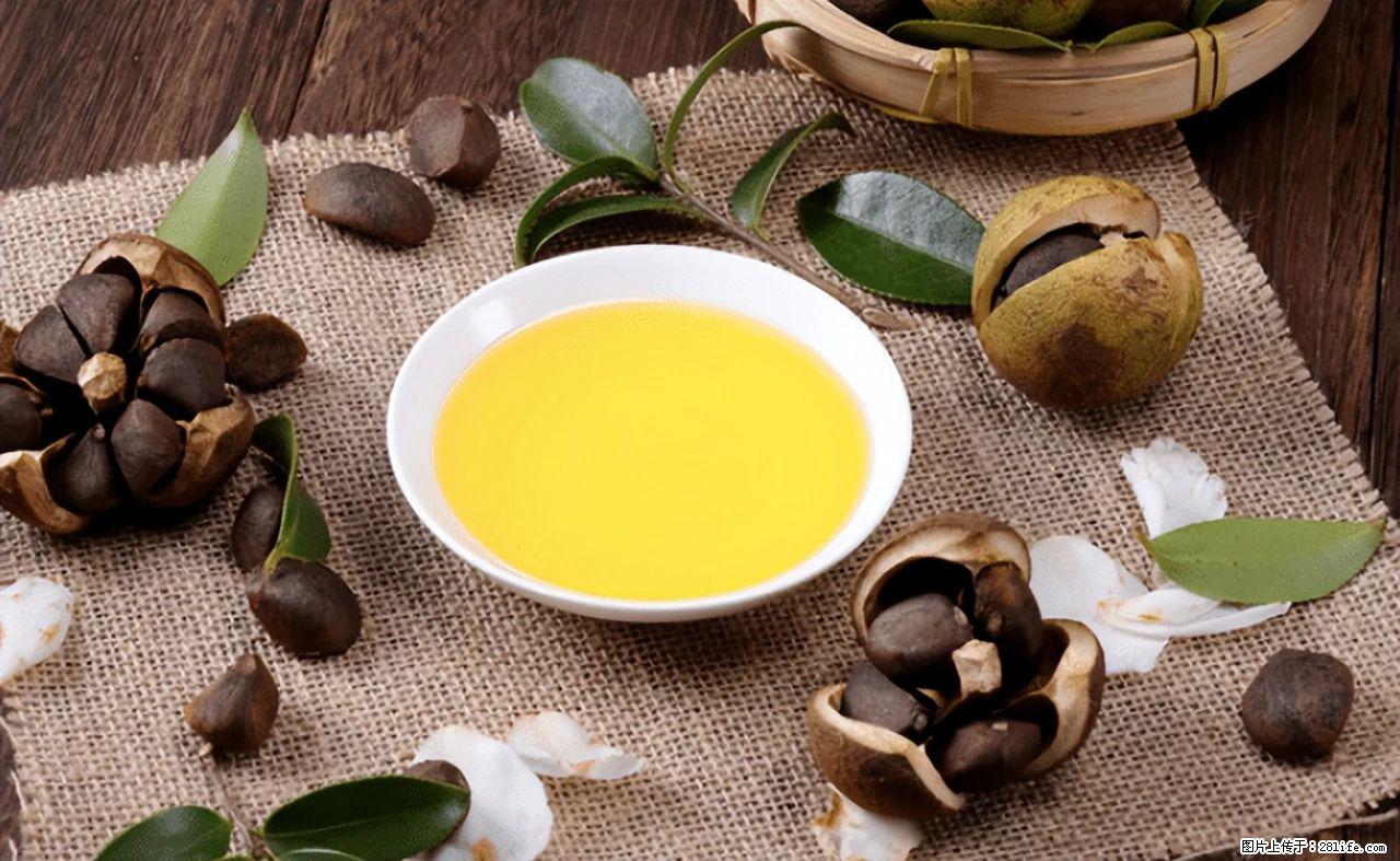 揭秘茶油的5大核心营养成分!被称为人体健康的“守护盾”! - 绍兴生活资讯 - 绍兴28生活网 sx.28life.com