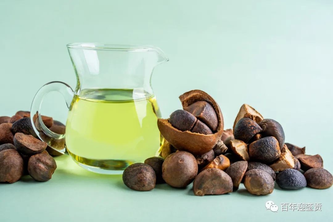 世界没有真相,只有认知,最好的食用油是中国的山茶油! - 绍兴生活资讯 - 绍兴28生活网 sx.28life.com