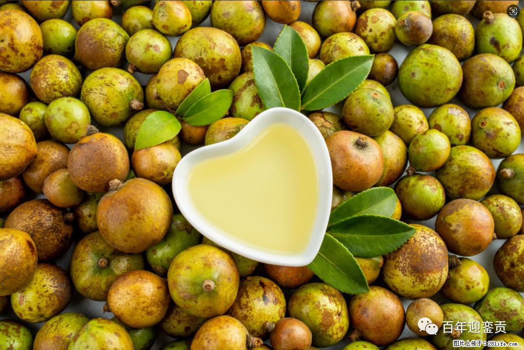 世界没有真相,只有认知,最好的食用油是中国的山茶油! - 绍兴生活资讯 - 绍兴28生活网 sx.28life.com