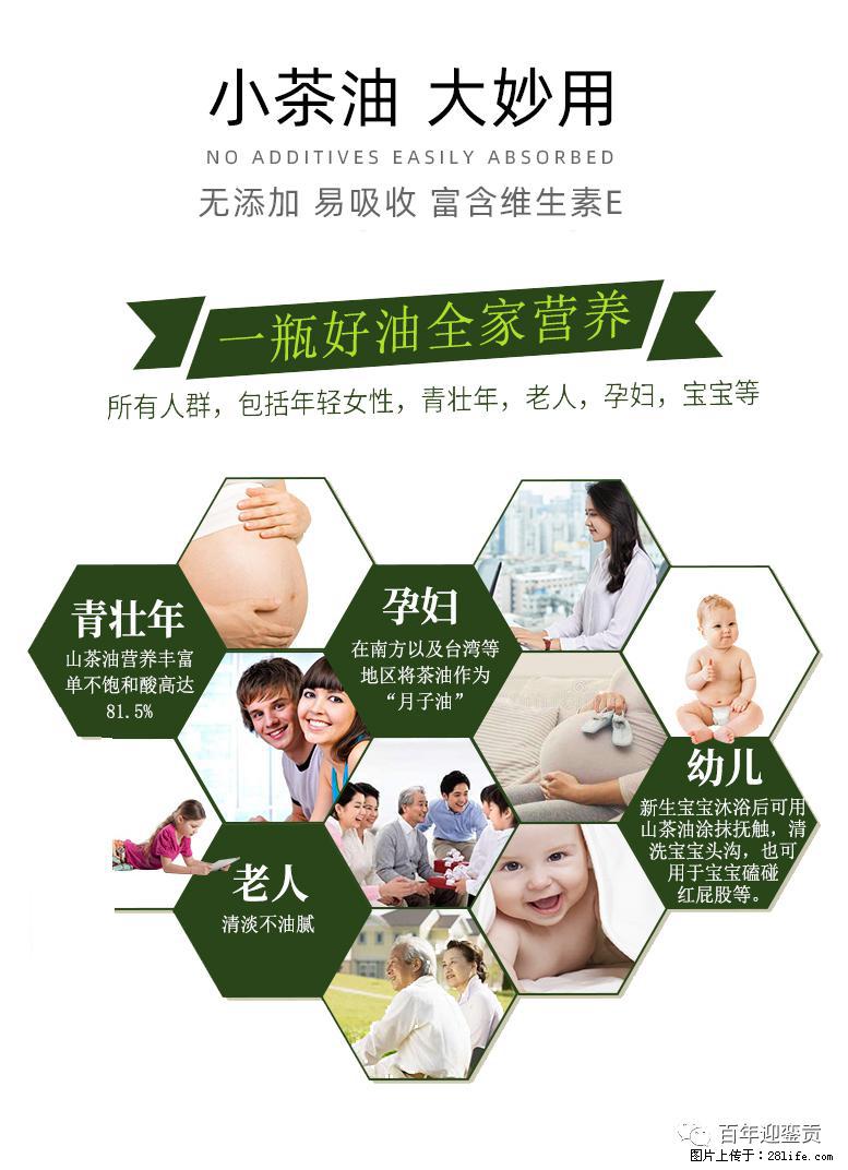 世界没有真相,只有认知,最好的食用油是中国的山茶油! - 绍兴生活资讯 - 绍兴28生活网 sx.28life.com