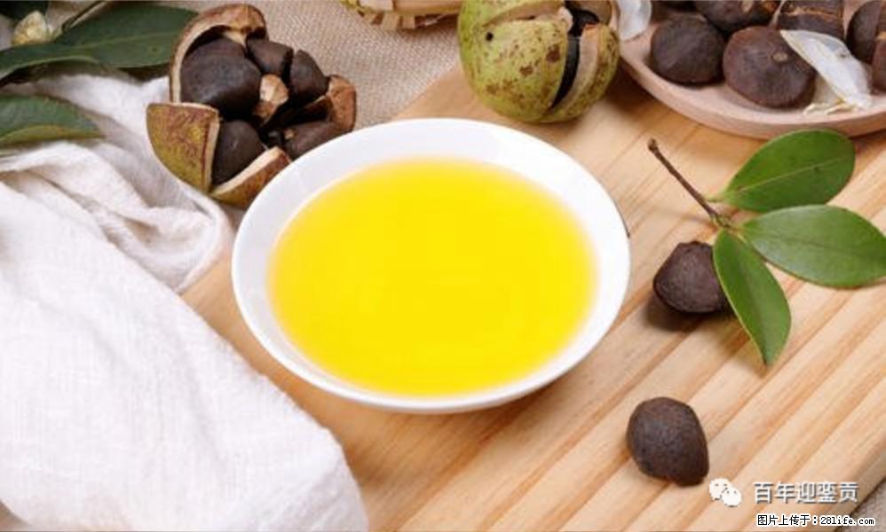 世界没有真相,只有认知,最好的食用油是中国的山茶油! - 绍兴生活资讯 - 绍兴28生活网 sx.28life.com