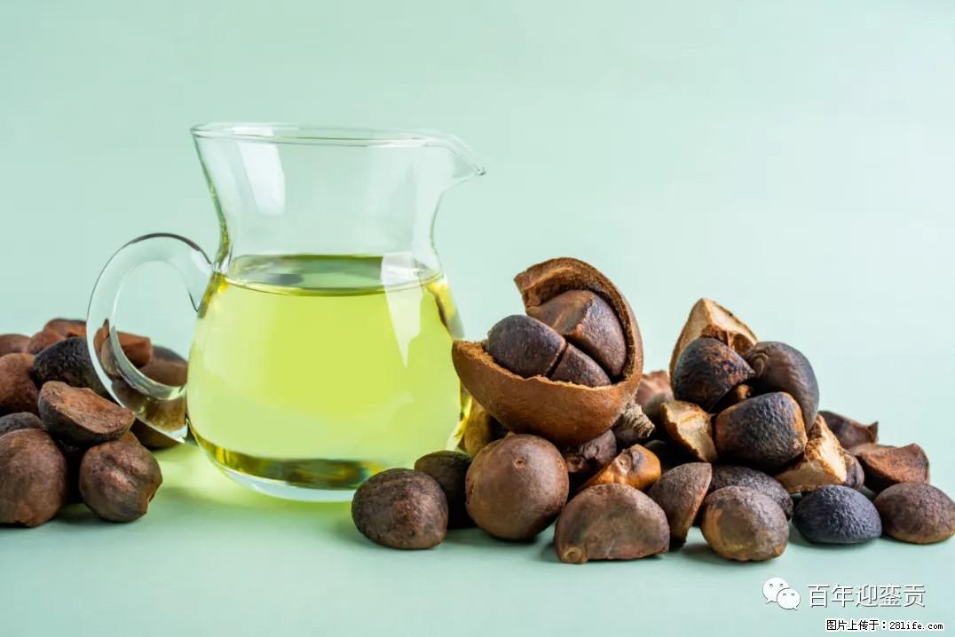 世界没有真相，只有认知，最好的食用油是中国的山茶油！ - 绍兴生活资讯 - 绍兴28生活网 sx.28life.com