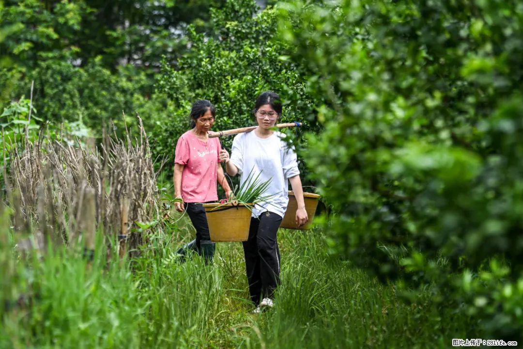 全网追的“扁担女孩”,找了一份暑假工,时薪12元 - 绍兴生活资讯 - 绍兴28生活网 sx.28life.com