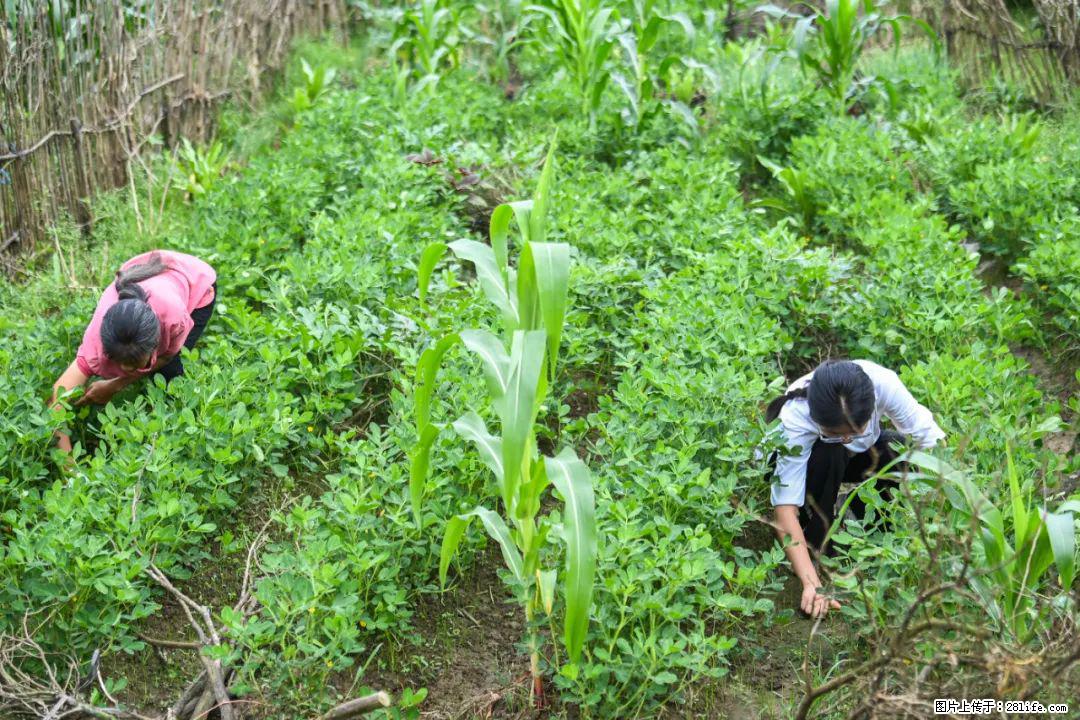 全网追的“扁担女孩”,找了一份暑假工,时薪12元 - 绍兴生活资讯 - 绍兴28生活网 sx.28life.com