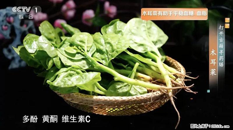 比牛奶补钙还厉害!凉血解毒、稳血糖...这菜冬天必吃,很多人却当草 - 绍兴生活资讯 - 绍兴28生活网 sx.28life.com