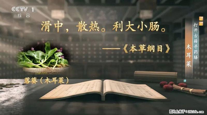 比牛奶补钙还厉害!凉血解毒、稳血糖...这菜冬天必吃,很多人却当草 - 绍兴生活资讯 - 绍兴28生活网 sx.28life.com