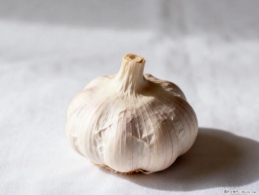 关于大蒜,除了“天然抗生素”,这4个谣言更该警惕! - 绍兴生活资讯 - 绍兴28生活网 sx.28life.com