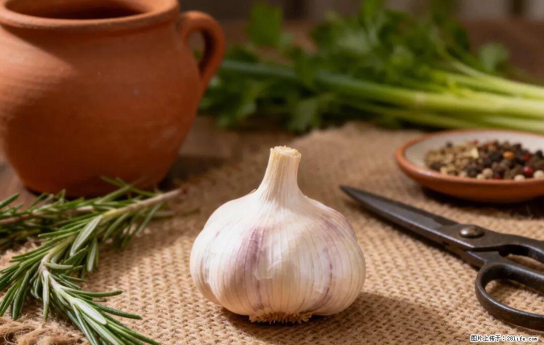 关于大蒜,除了“天然抗生素”,这4个谣言更该警惕! - 绍兴生活资讯 - 绍兴28生活网 sx.28life.com