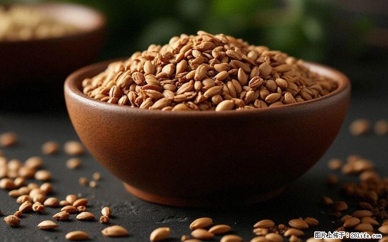 这三苦是三高“克星”,心血管干净不易堵!每天吃一点,指标慢慢降下来~ - 绍兴生活资讯 - 绍兴28生活网 sx.28life.com