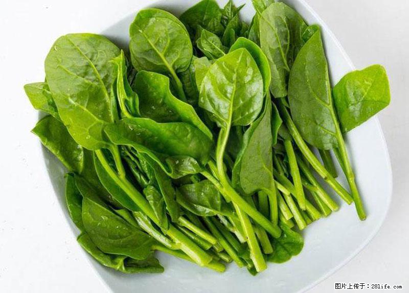 这些蔬菜是“天然钙片”，这6种被医生重点推荐 - 绍兴生活资讯 - 绍兴28生活网 sx.28life.com