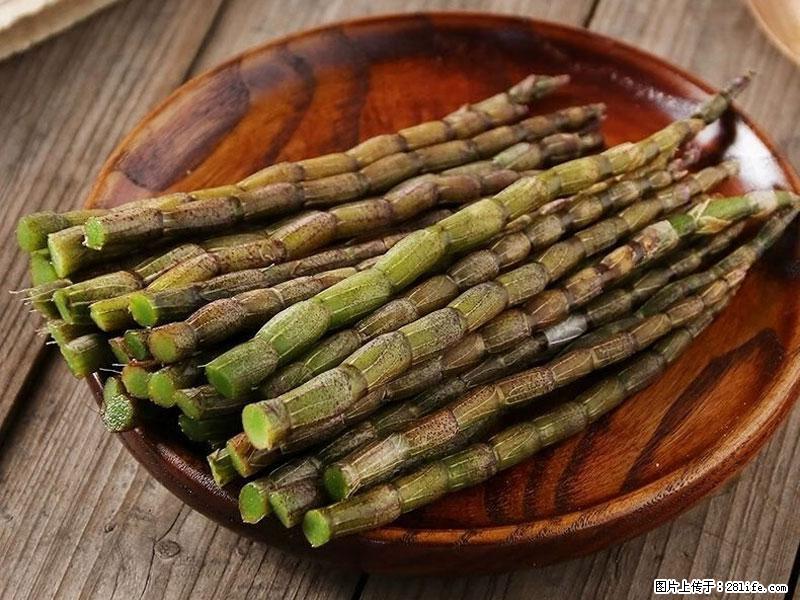 铁皮石斛的作用与功能主治 - 绍兴生活资讯 - 绍兴28生活网 sx.28life.com